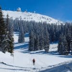 Balade en Raquettes de Neige